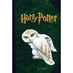 Harry Potter Hardcover Hedwig the Owl Journal